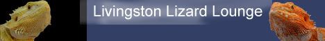 Livingston Lizard Lounge