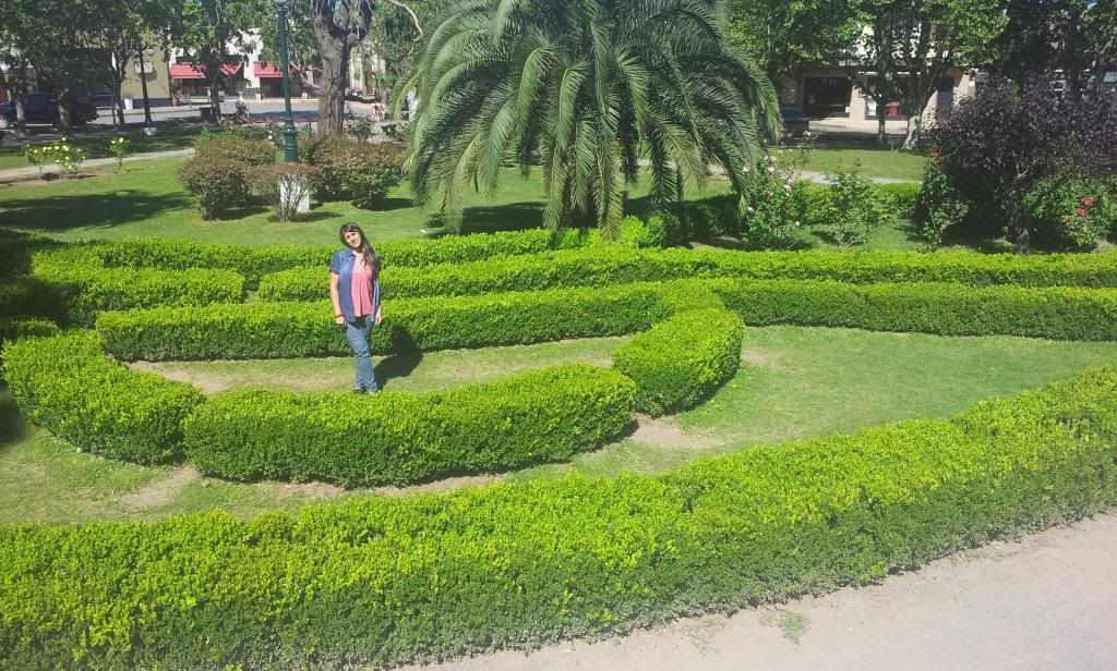 Imagen