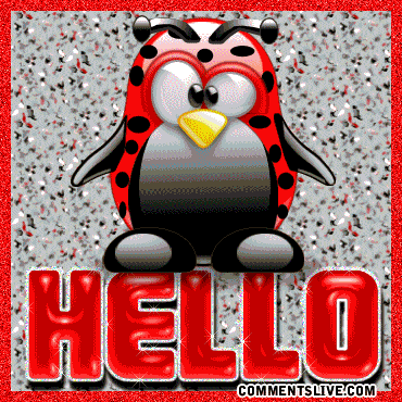 Hello Penguin Red Pictures