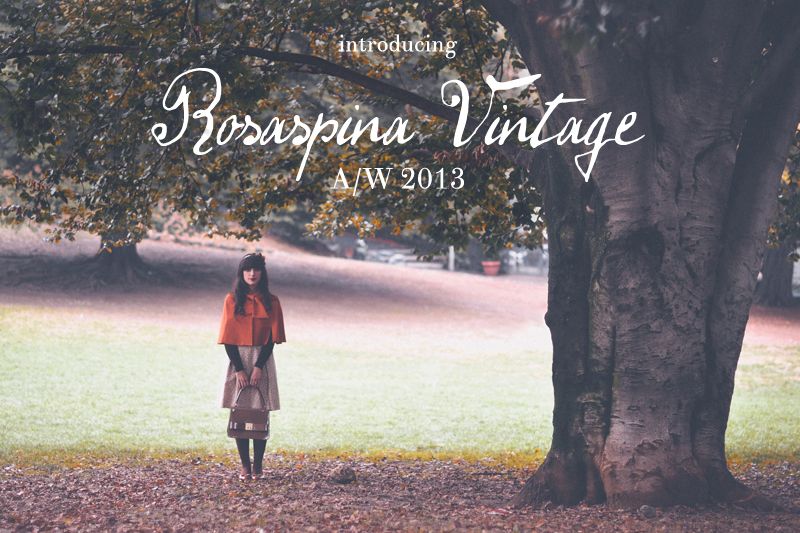  photo rosaspinavintage_aw13_intro_zps1ab73b2b.jpg