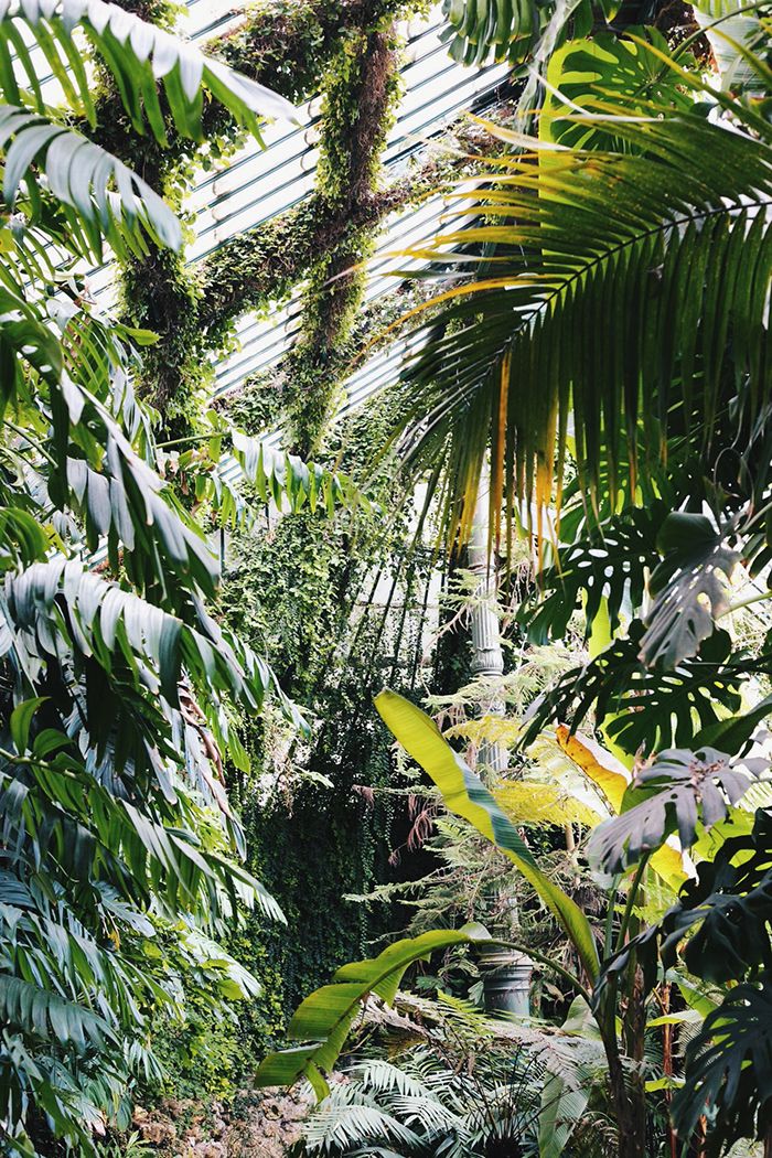 jardín botánico madrid invernadero photo 7_zpsp5z81idc.jpg