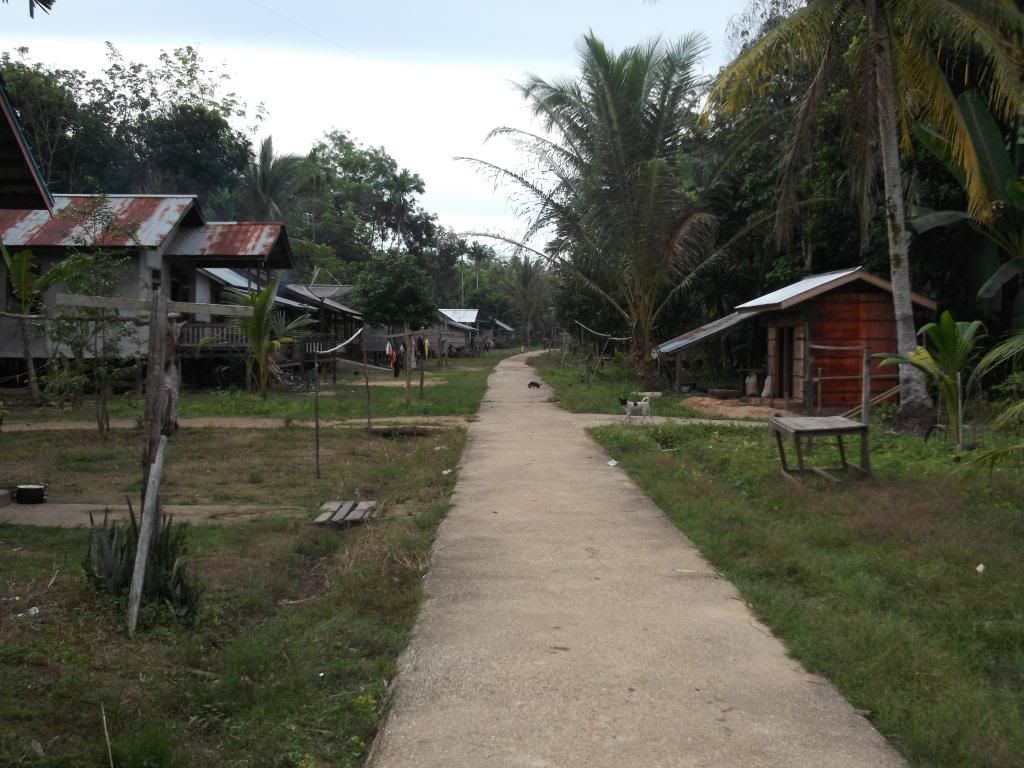 Tiga Hari di Desa Tanjung Beringin