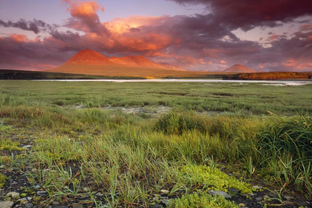 HD20Nature20Wallpaper201.jpg