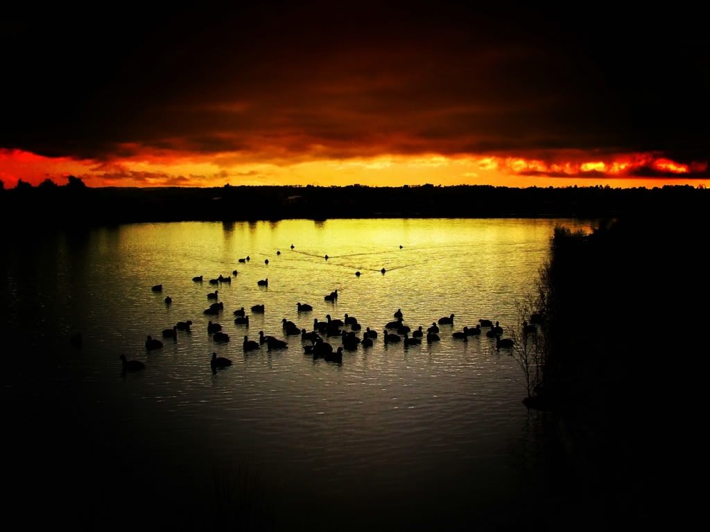 HD20Nature20Wallpaper2012.jpg