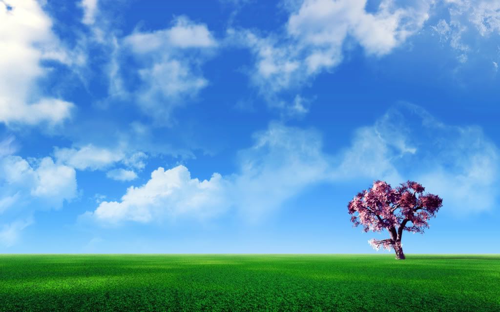 1680x1050_WideScreen_wallpaper_13.jpg