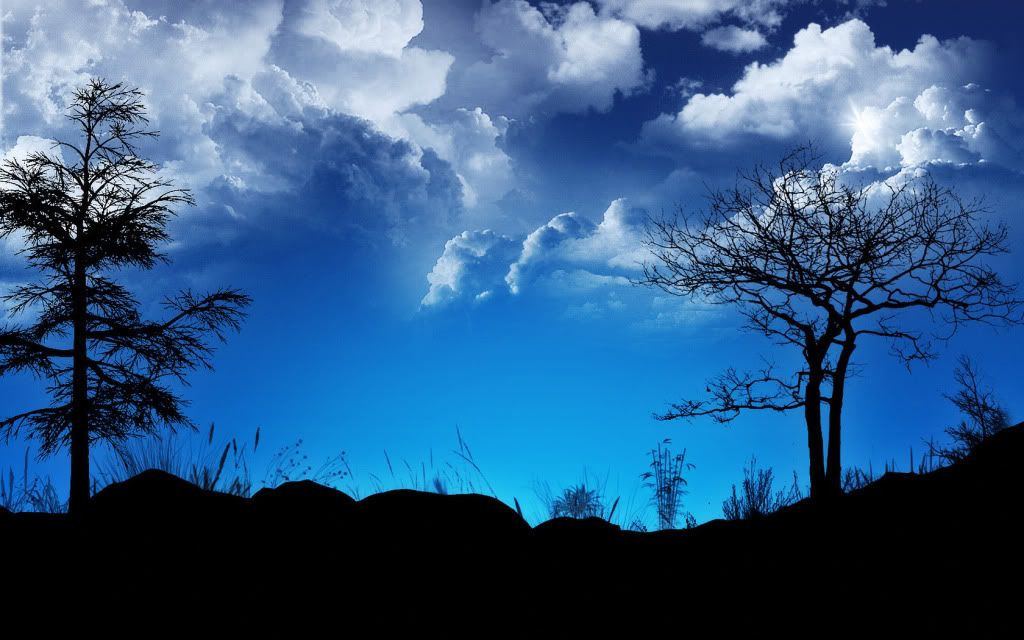 1680x1050_WideScreen_wallpaper_63.jpg