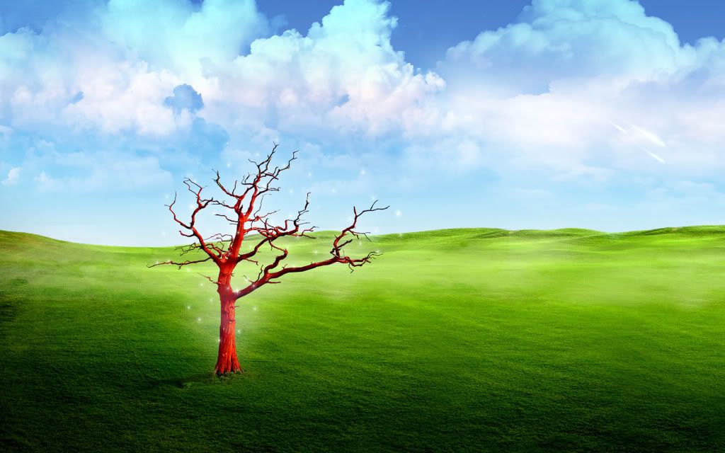 1680x1050_Widescreen_Wallpaper_Strange_World_V_left.jpg