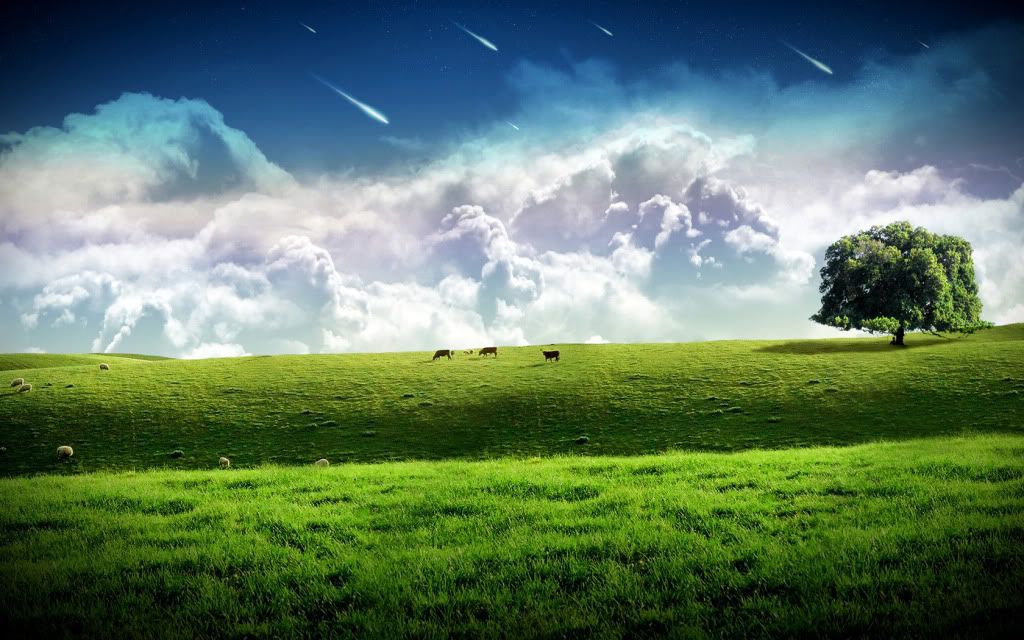 1680x1050_Widescreen_Wallpaper_kol_9.jpg