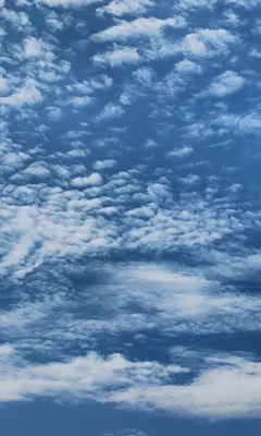 179f81fd.png