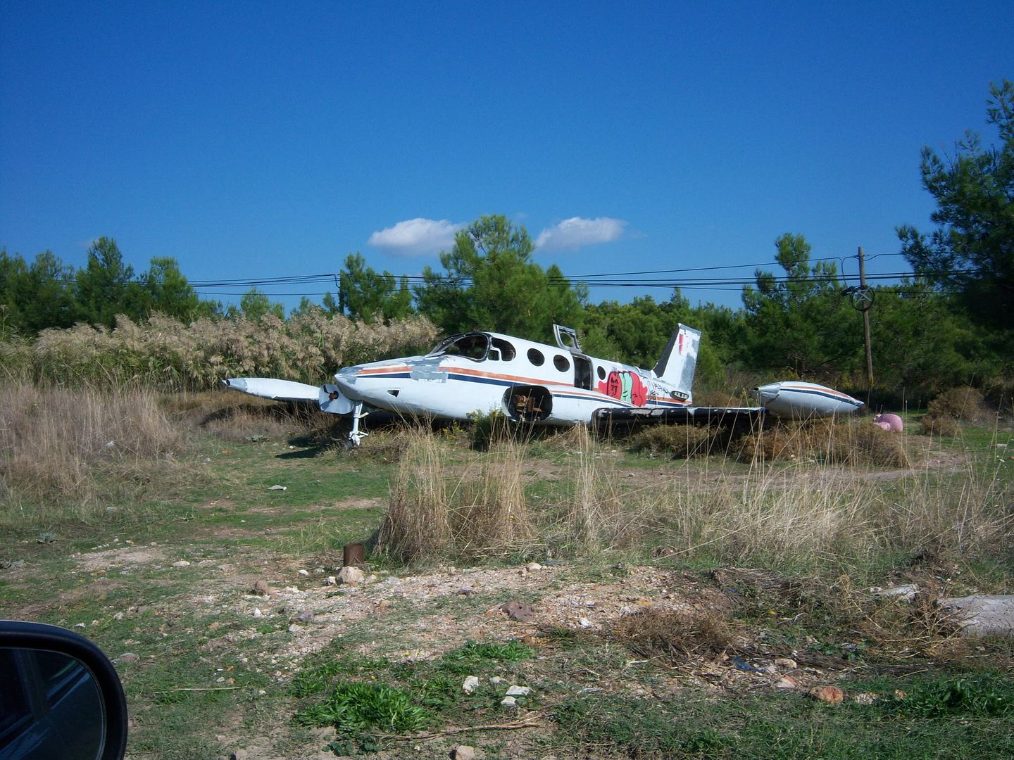 3bda978c.jpg