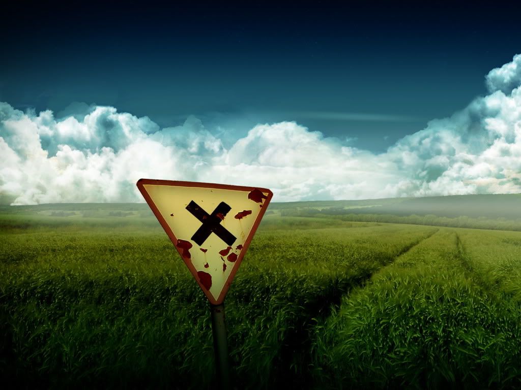 in_the_field.jpg
