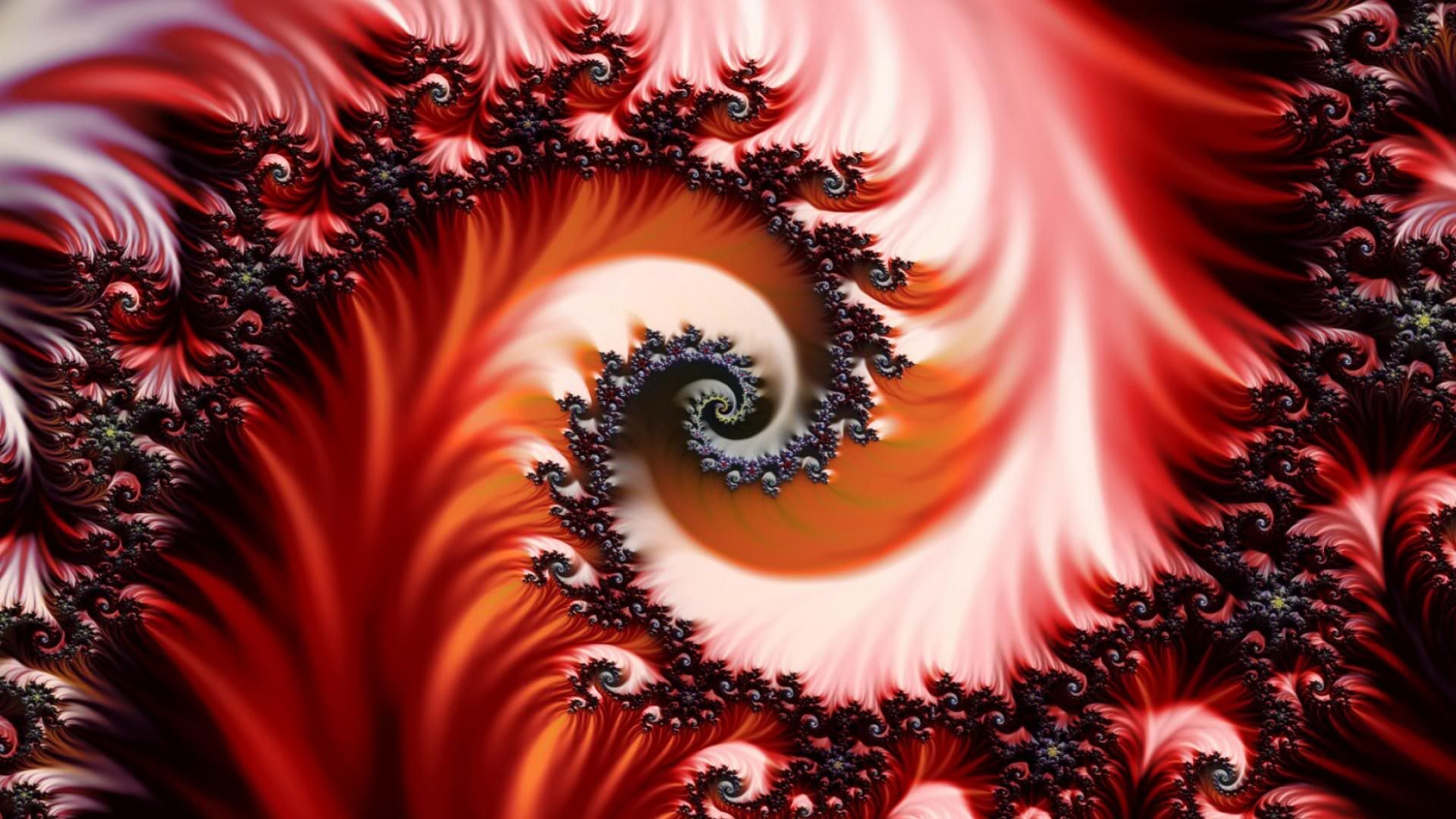 53583b64.jpg