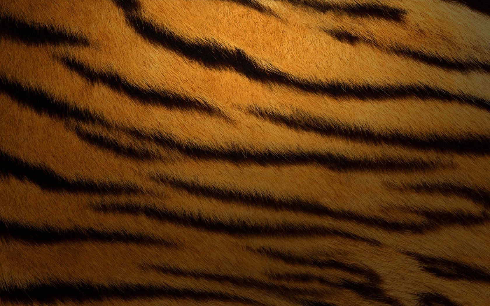 6628d191.jpg