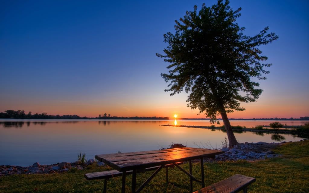 SB-HDWallpapers363.jpg