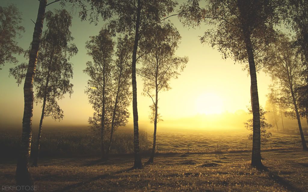 SB-HDWallpapers369.jpg