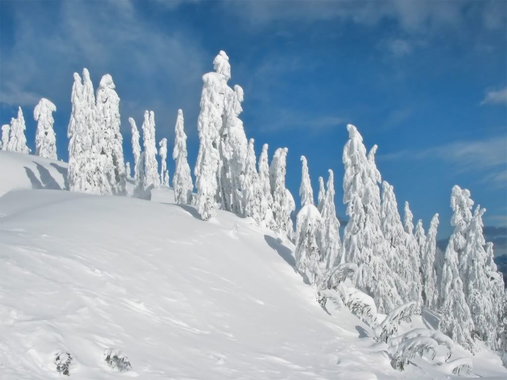 Landscape13.jpg