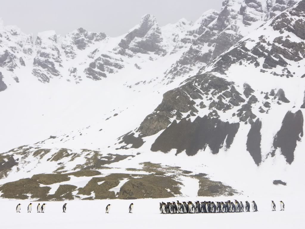Landscape14.jpg