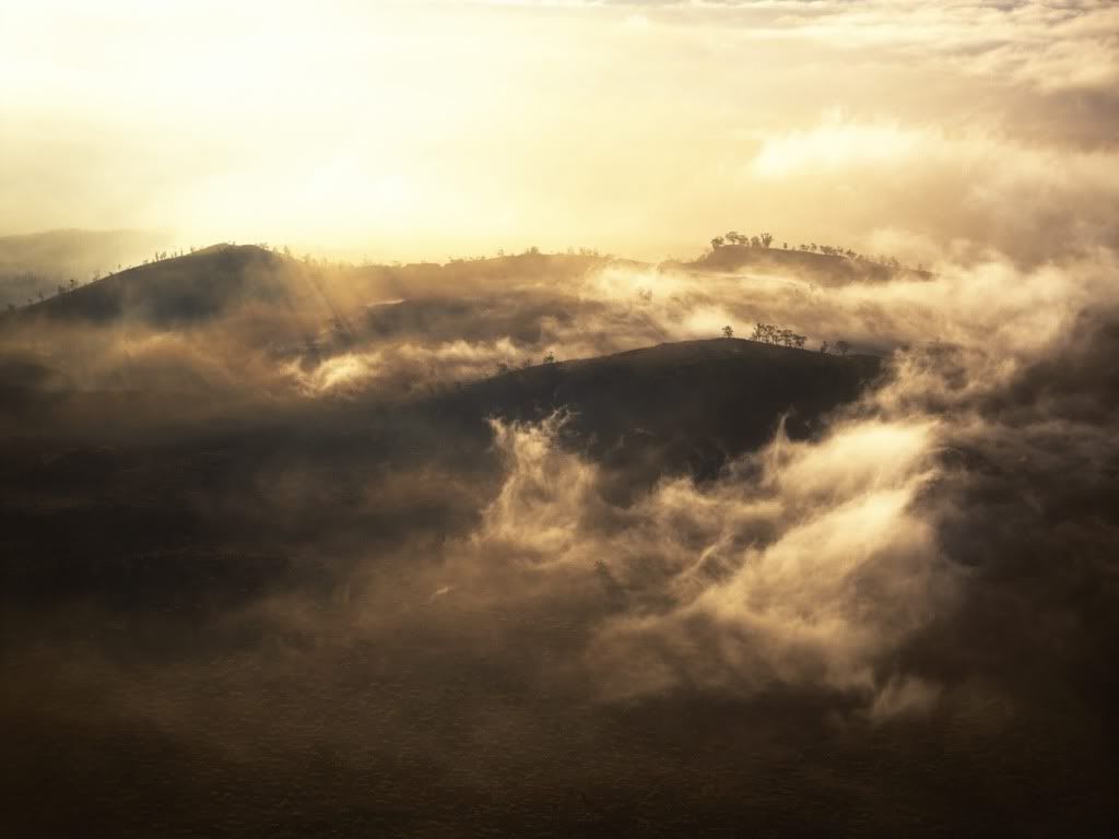 Landscape17.jpg