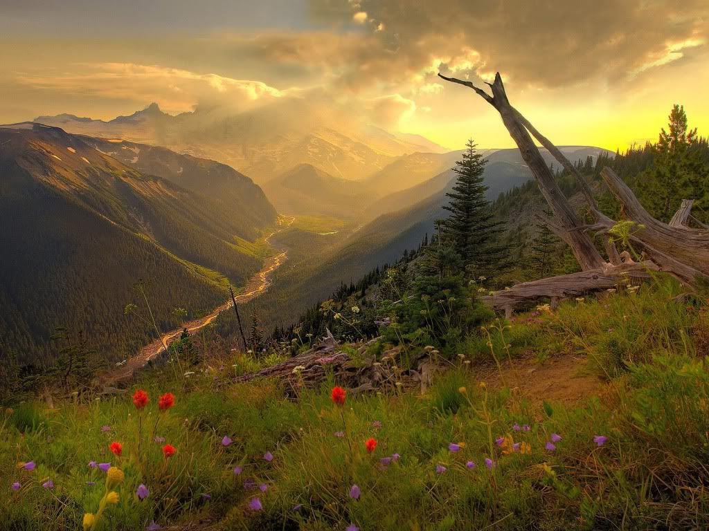 Landscape19.jpg