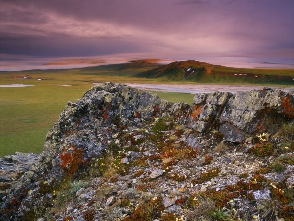 Landscape2.jpg