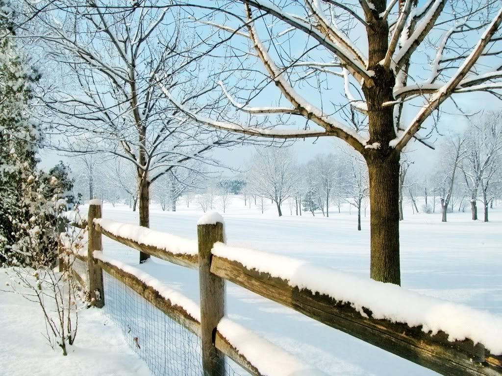 Landscape3.jpg