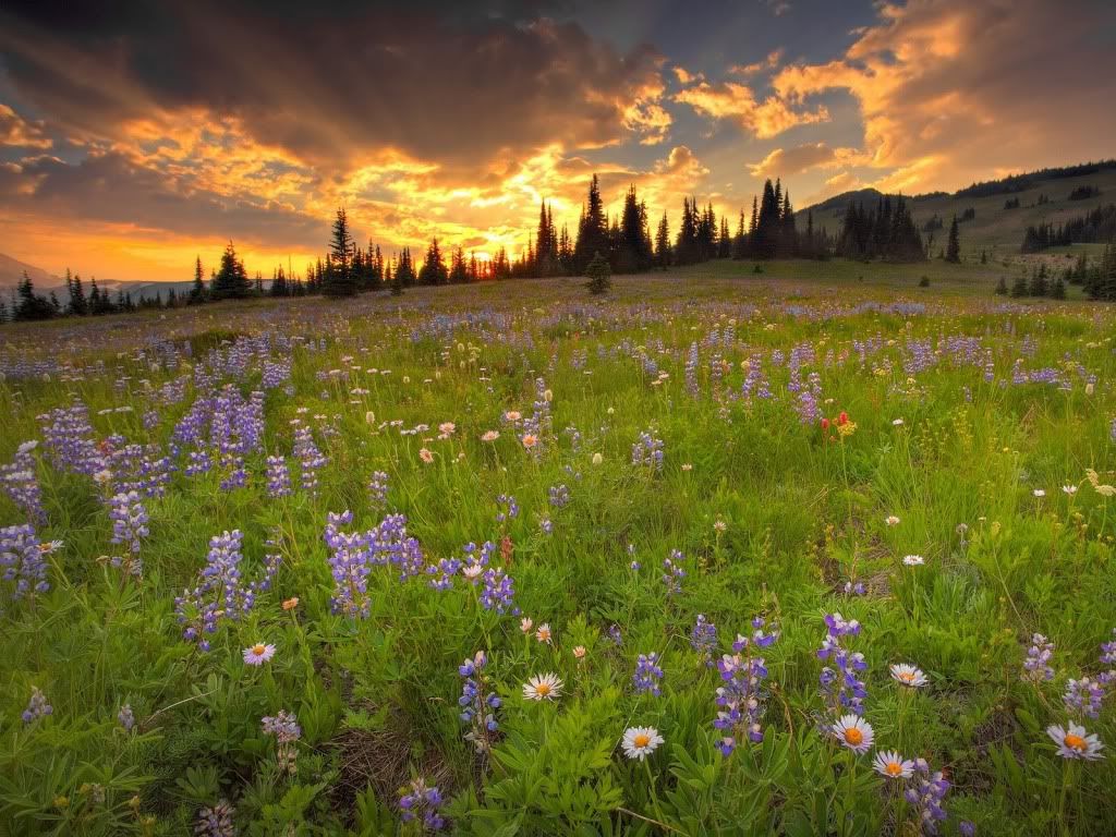 Landscape30.jpg