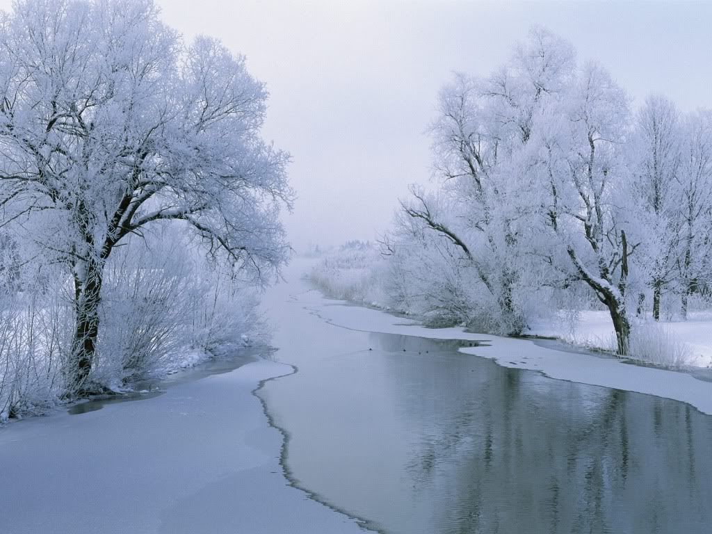 Landscape31.jpg