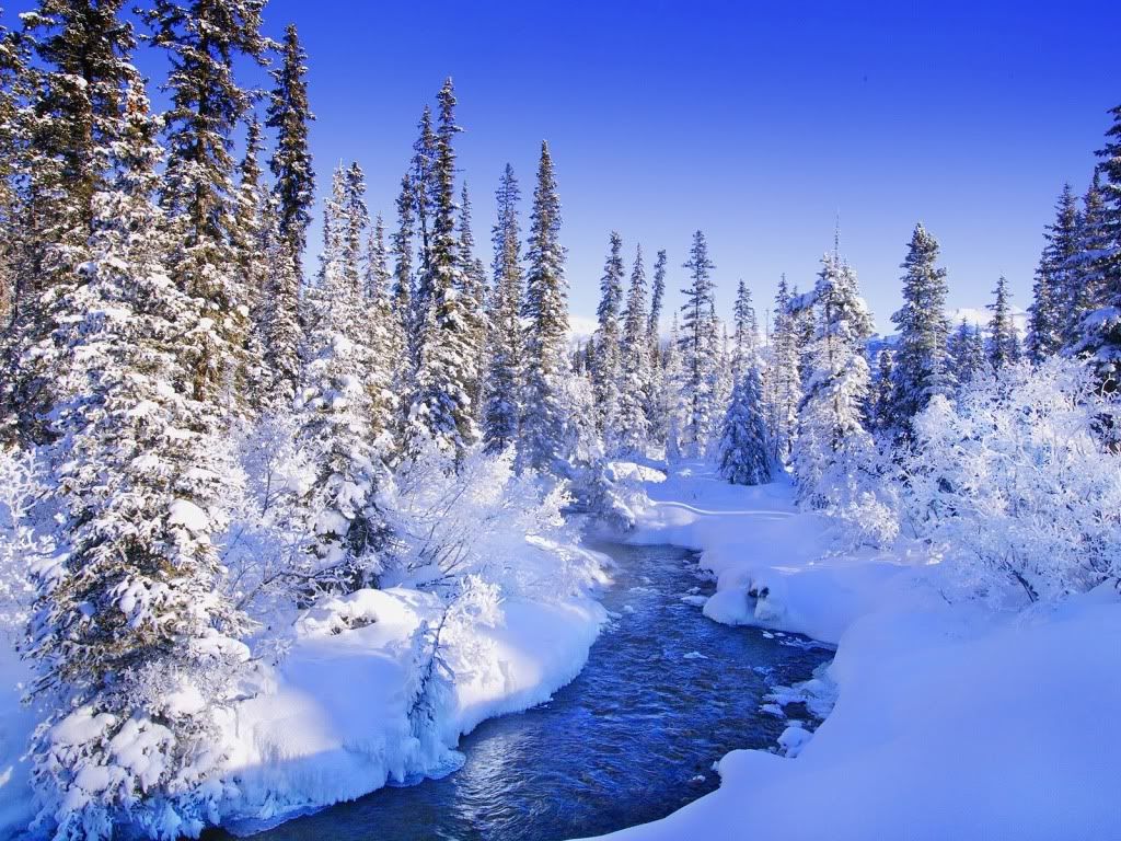 Landscape4.jpg