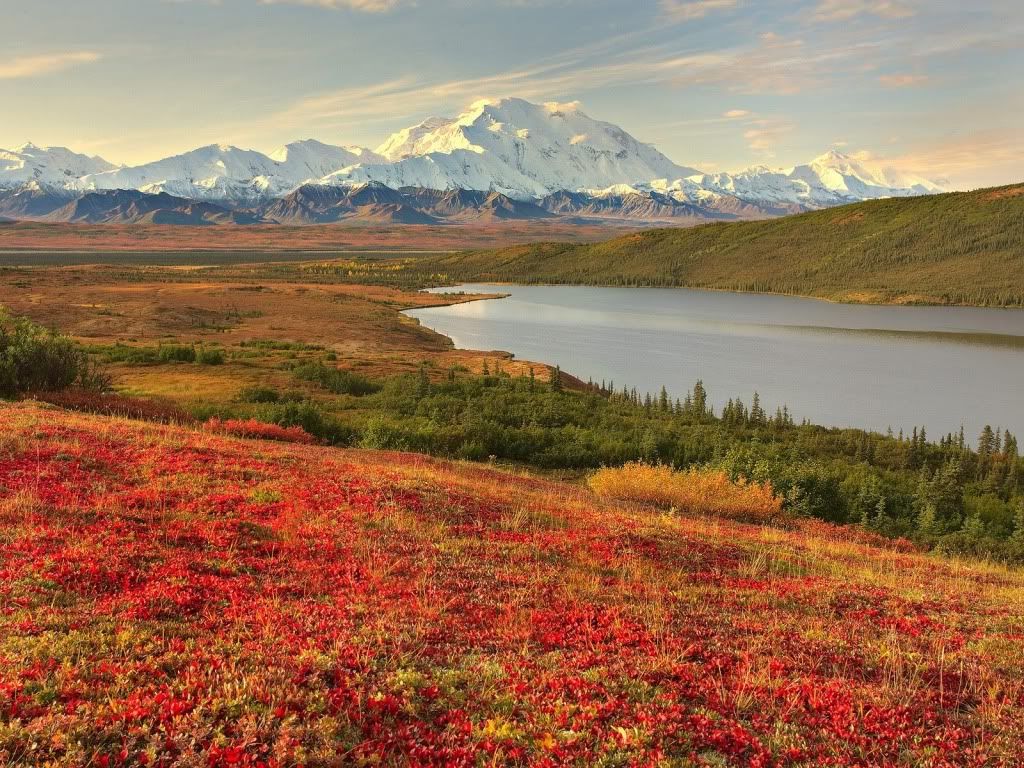 Landscape40.jpg