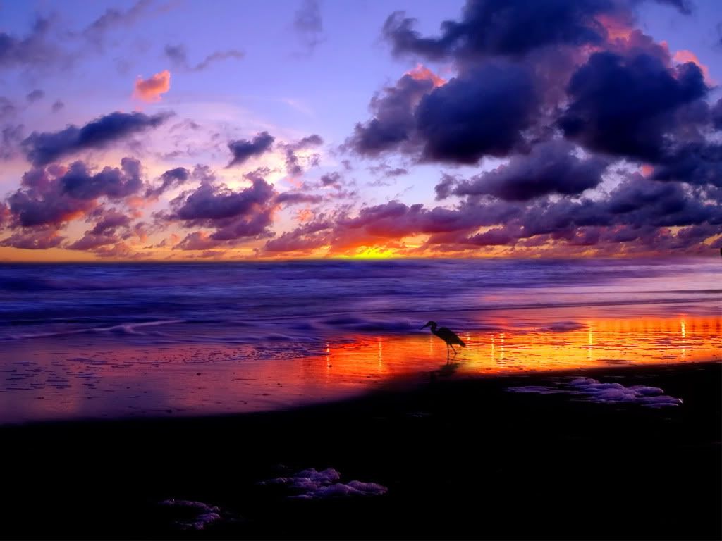 Landscape45.jpg