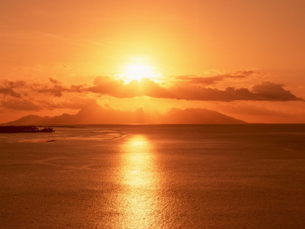 Landscape46.jpg