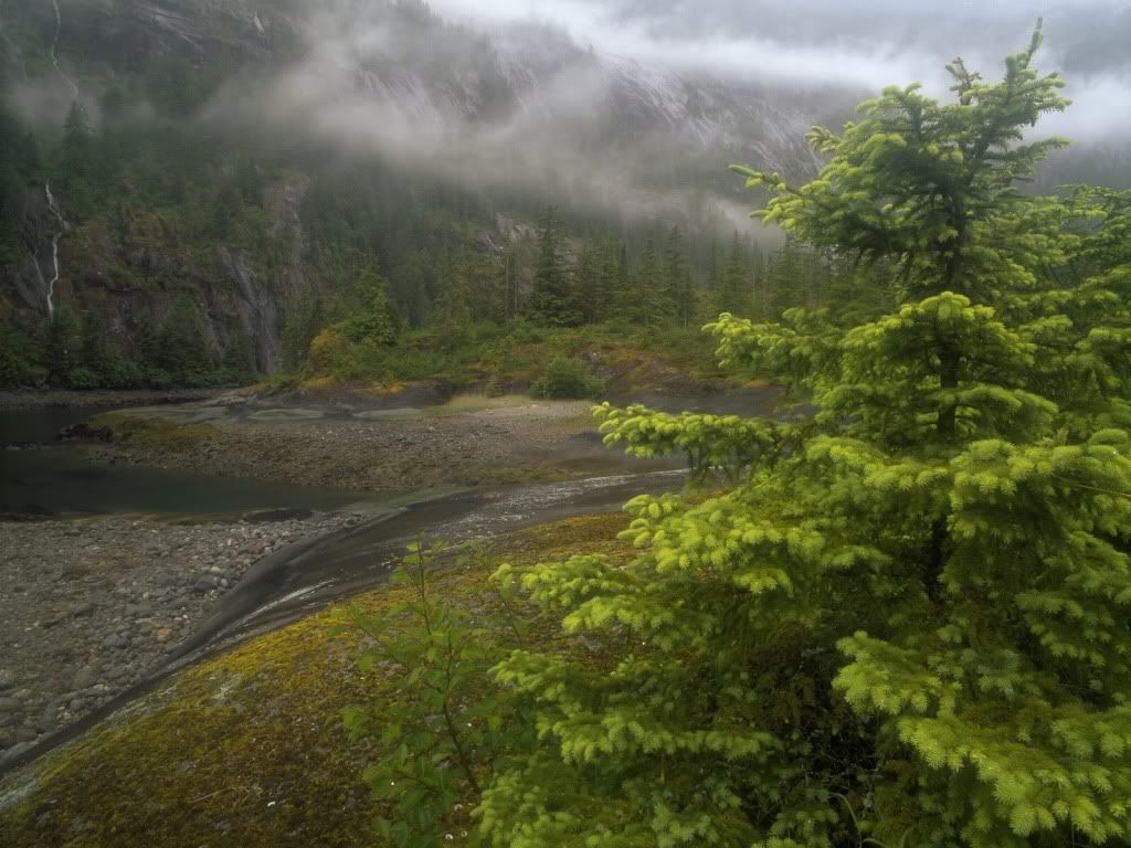 Landscape5.jpg