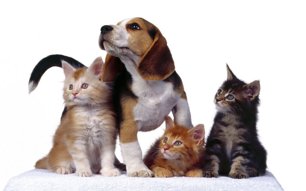 Family20Portrait.jpg