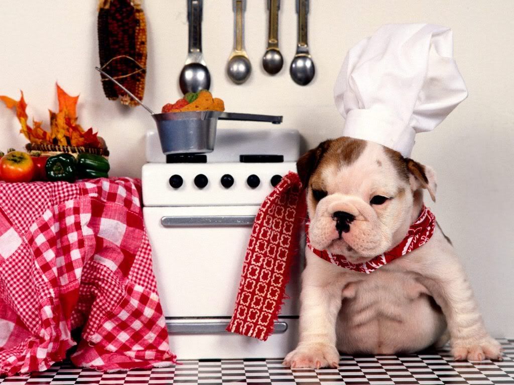 WallpaperHDMaster_Chef.jpg