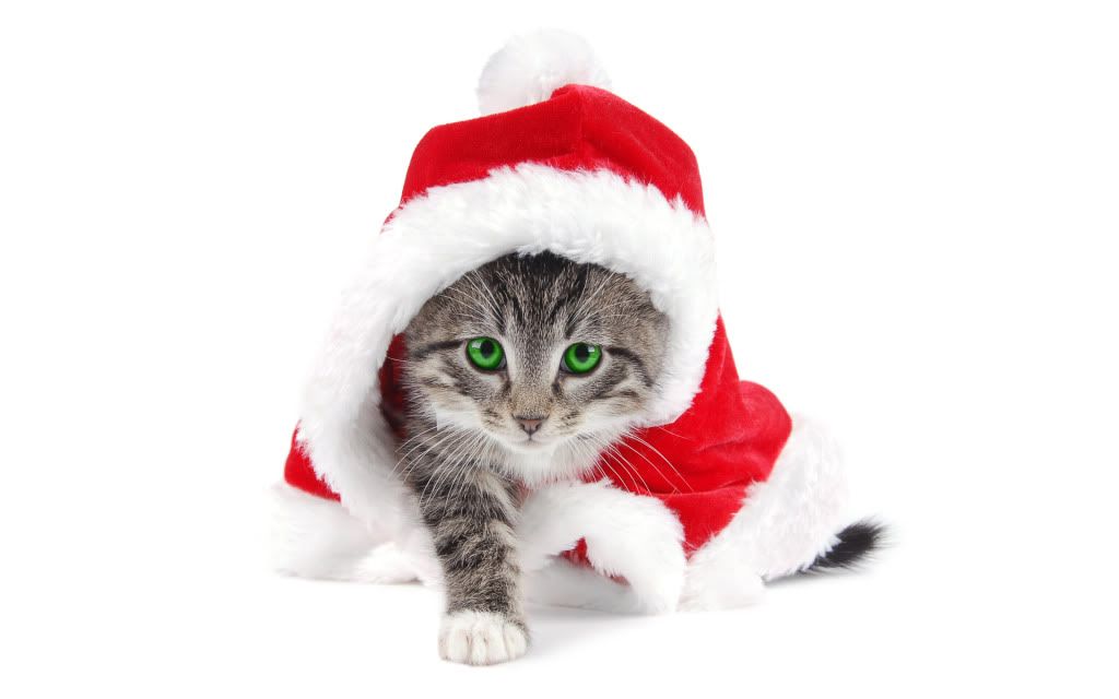 santa-is-a-cat.jpg