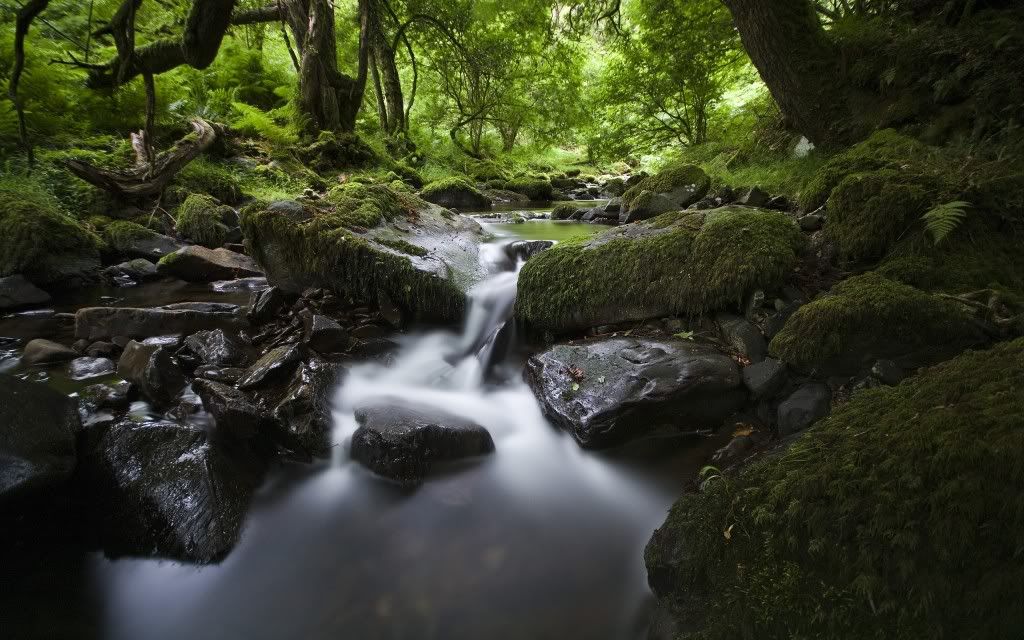 Somewhere20in20Exmoor.jpg