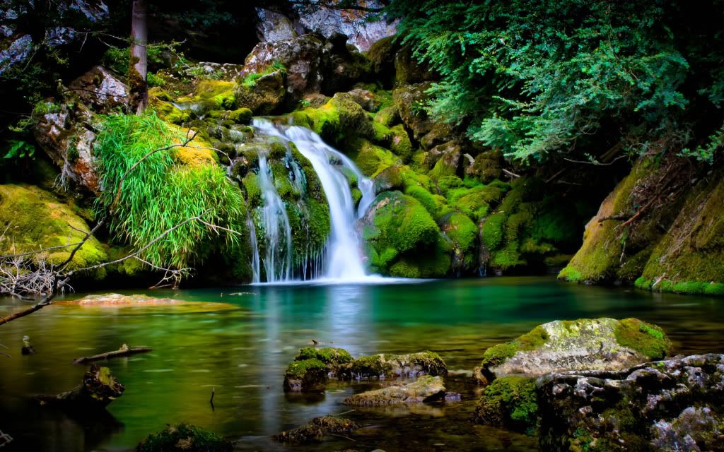 Vercors20Forest20By20emmanueliarussi.jpg
