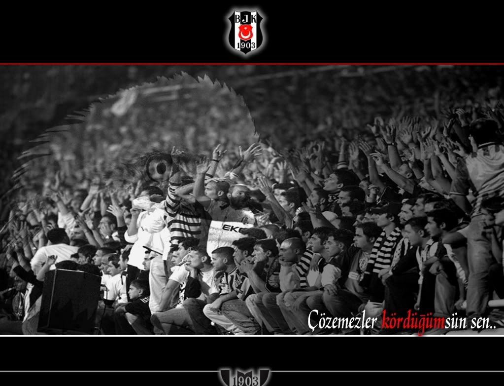 4ed1ad40-a93a-4a93-8cbc-950454fc2d4e.jpg
