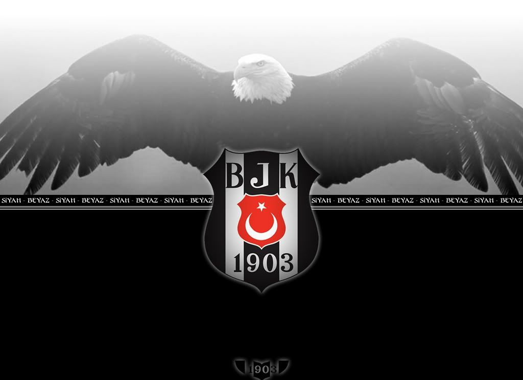 wwwsince1903orgvy5.jpg
