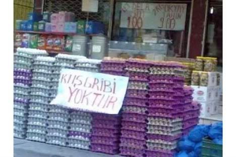 yu.jpg