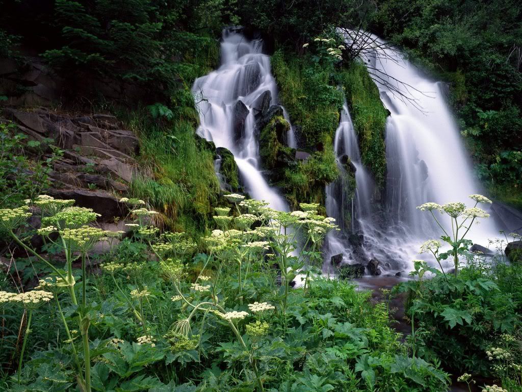 Cascading_Waterfall_Umpqua_National_Forest_Oregon.jpg