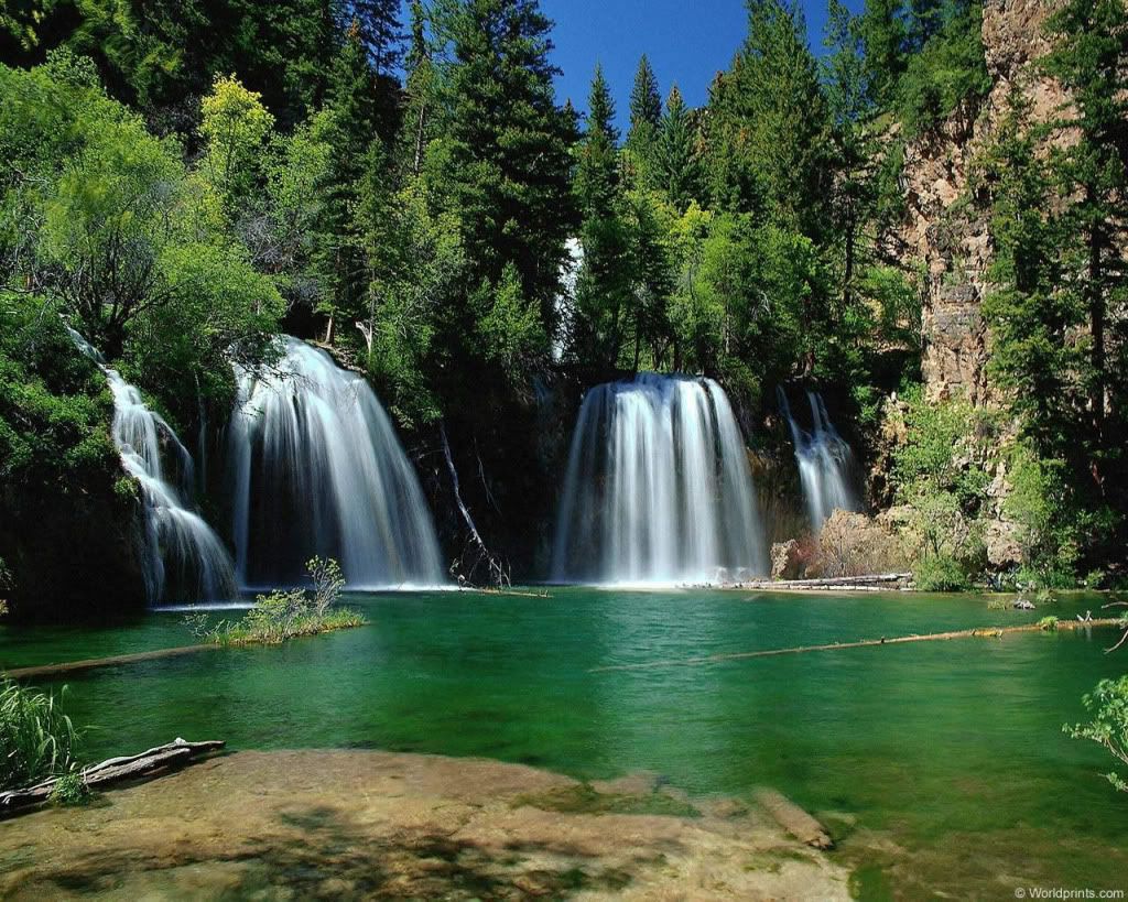 Nature26_jpg.jpg