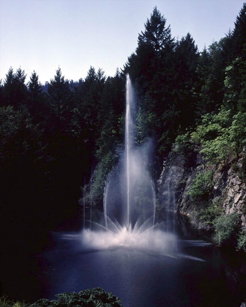 Water302.jpg