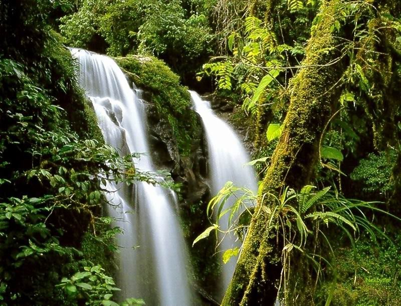 Waterfall12.jpg
