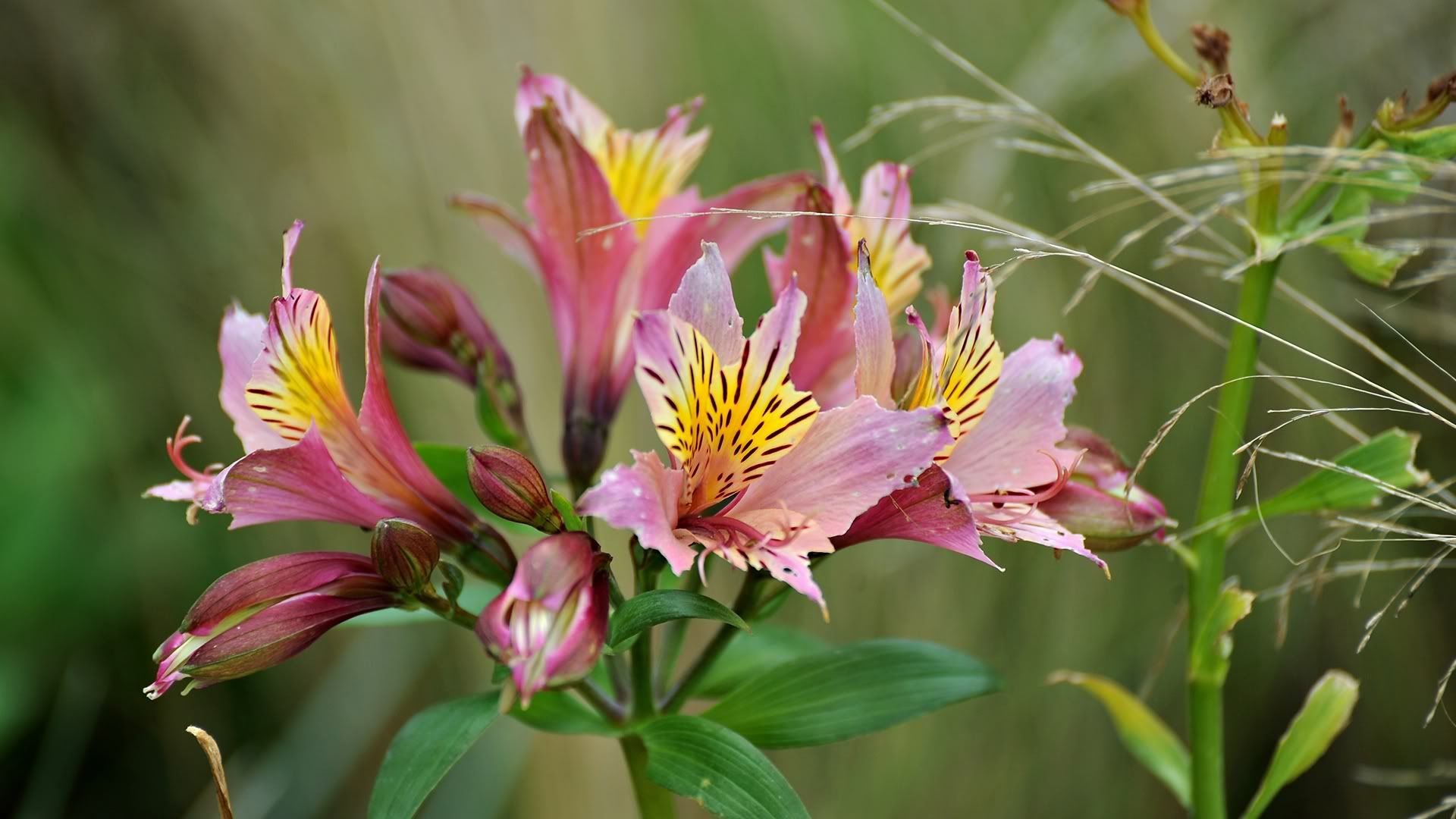 ab8488d2.jpg