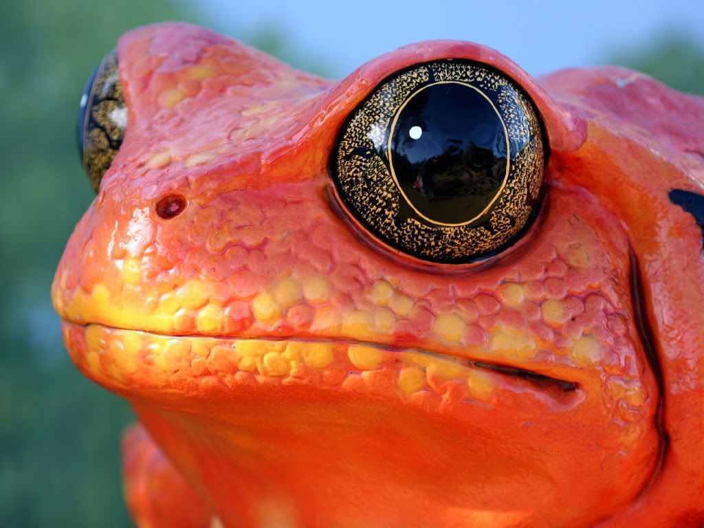animal_0016.jpg