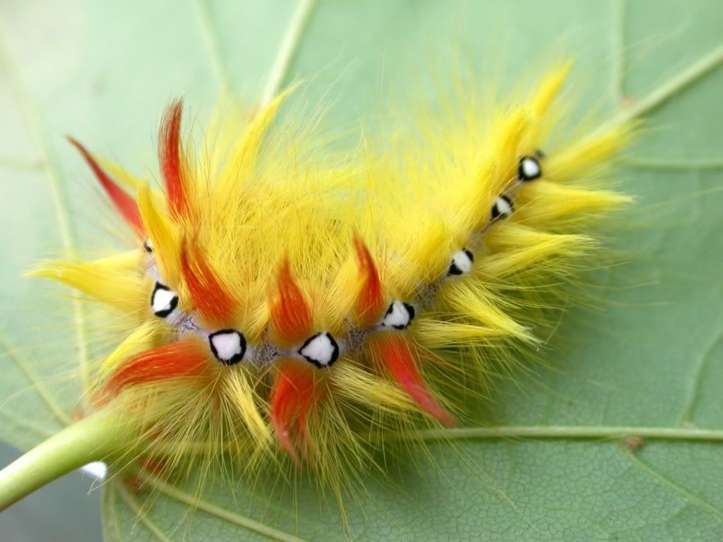 animal_0022.jpg