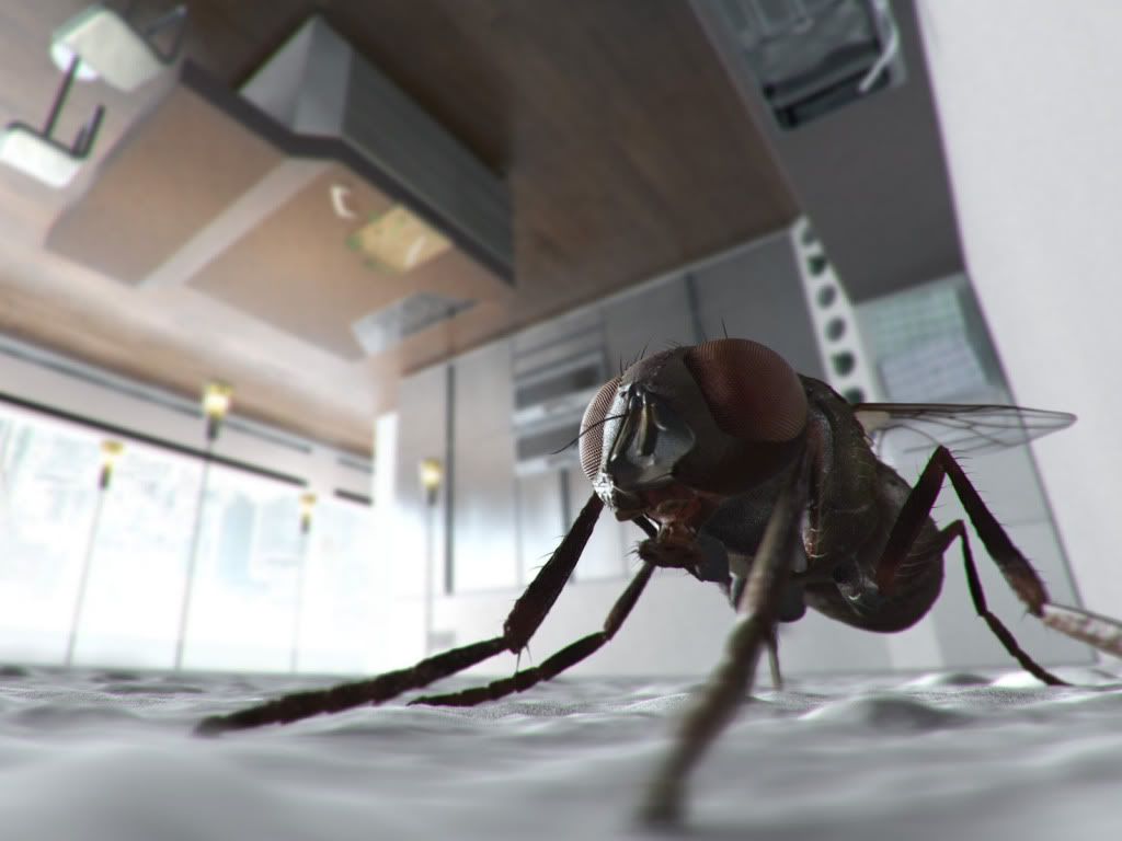 animal_0069.jpg