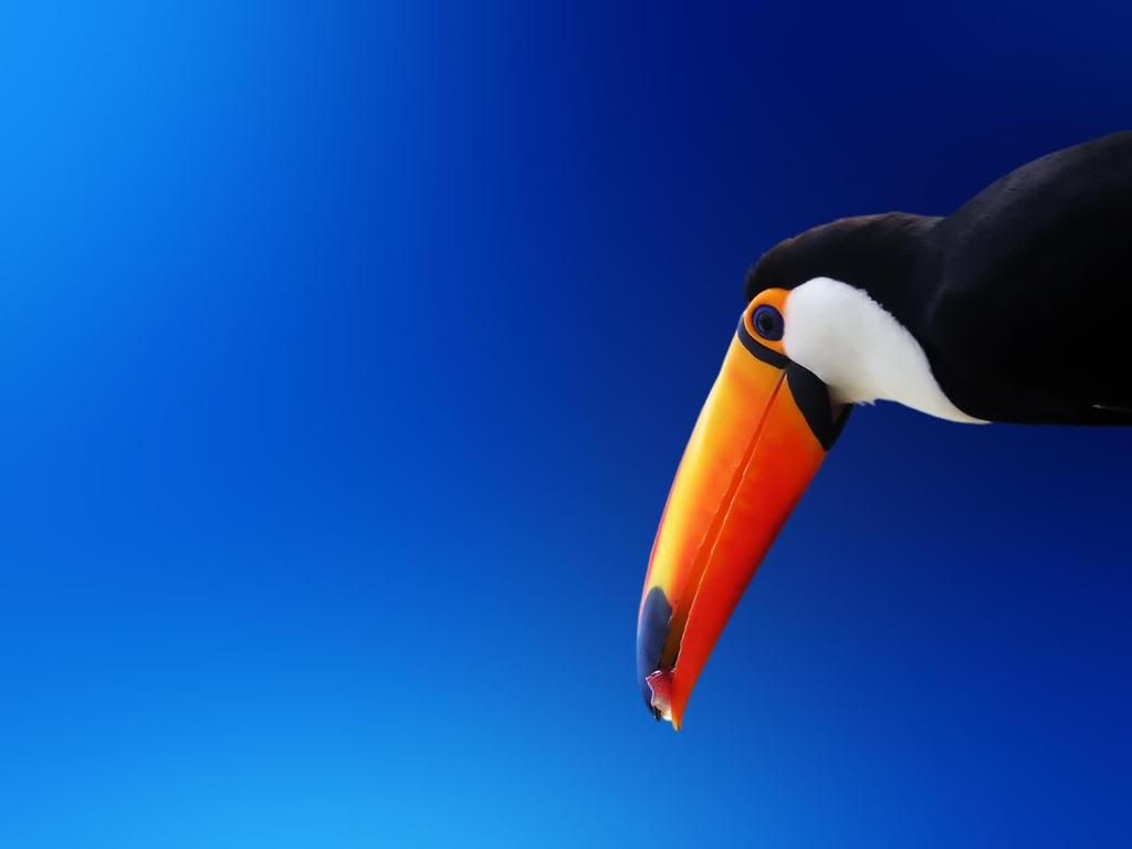 animal_0077.jpg