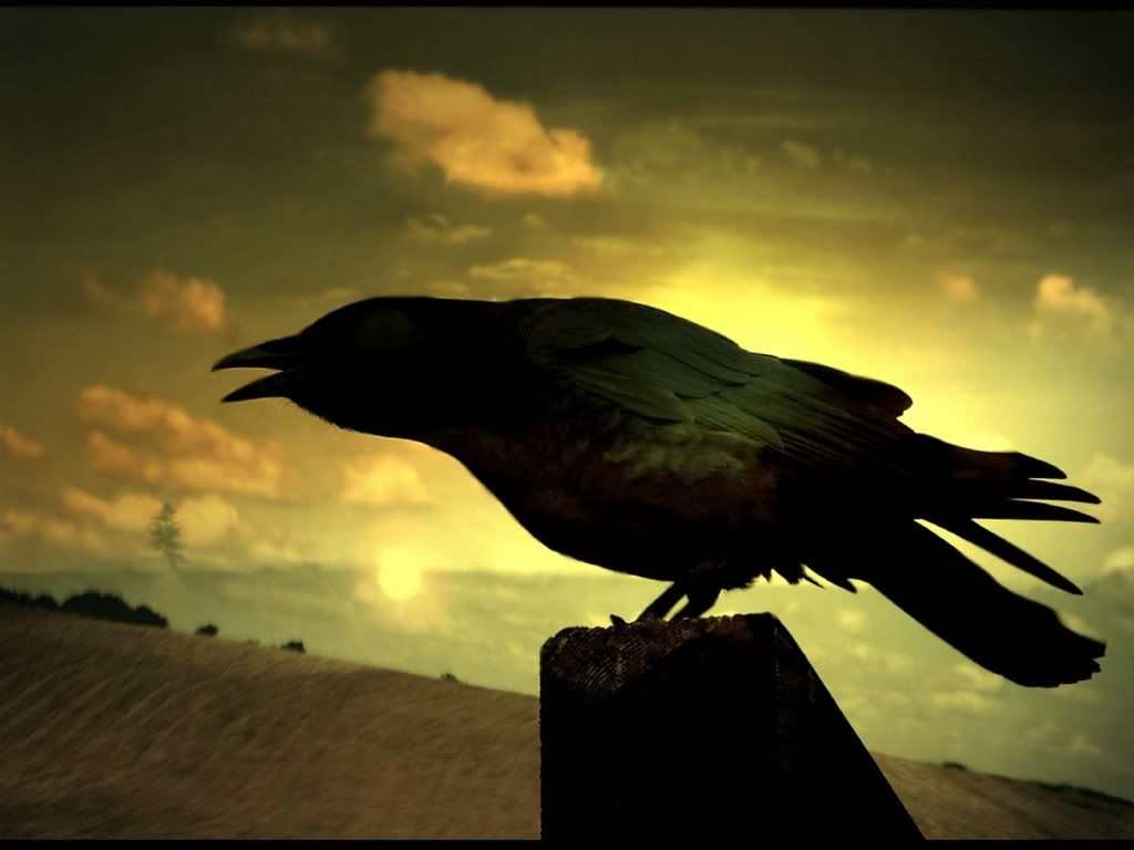animal_0089.jpg